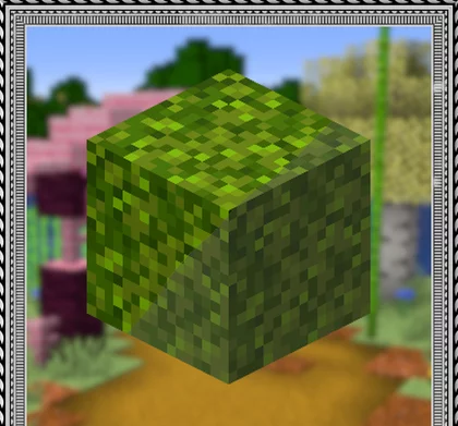 Classical 1.21.1, 1.20.6