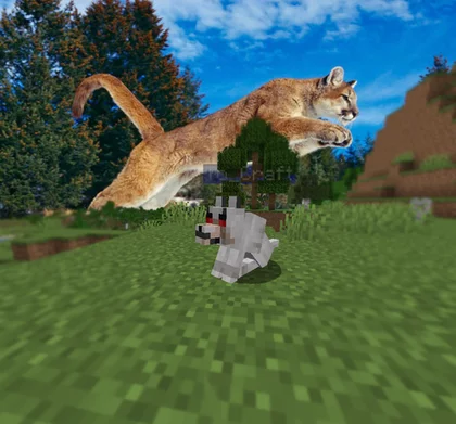 Woodwalkers 1.21.8, 1.20.6, 1.19.4, 1.16.5